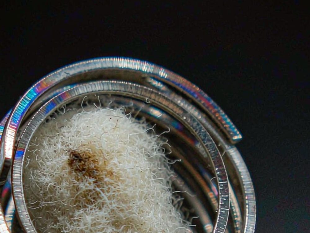 Buyer's Guide to Kafficarat kits — budget tier