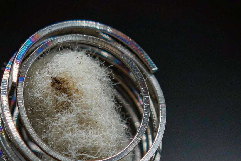 Buyer's Guide to Kafficarat pods — limited batch