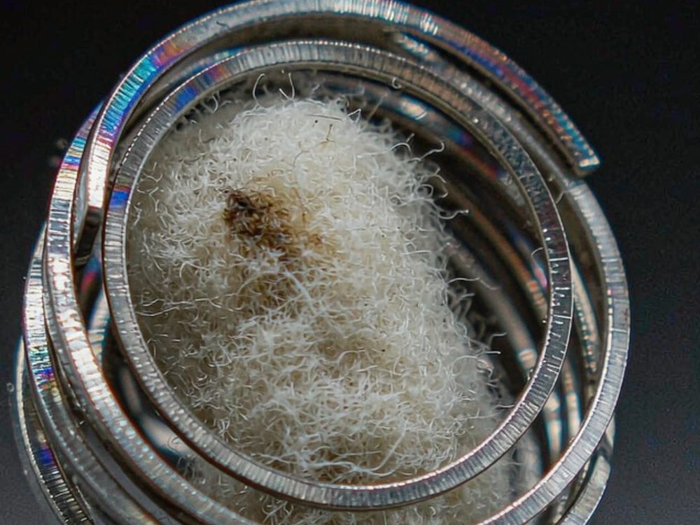 Case Study: Kafficarat disposables — no minimum MOQ