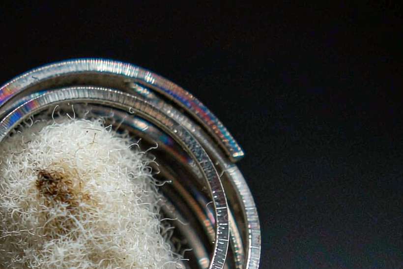 Flavor Catalog of Kafficarat hardware — small parcel