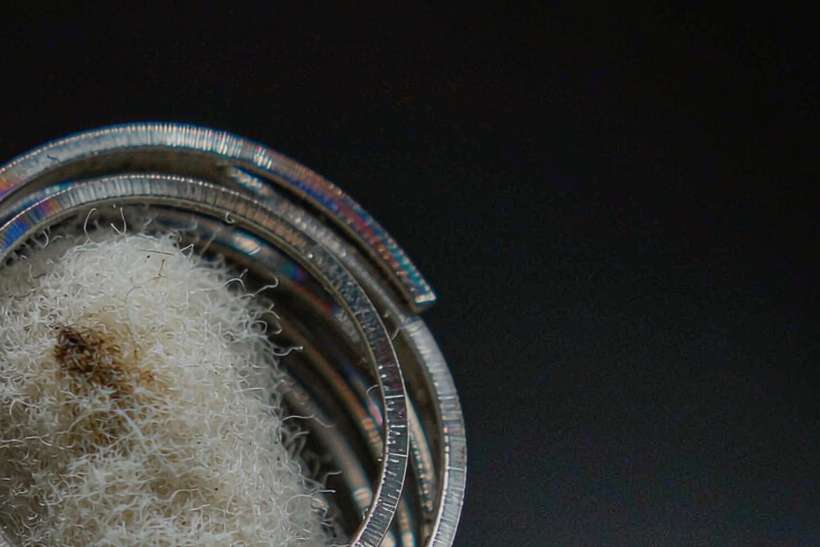 Launch Plan for Kafficarat pods — limited batch