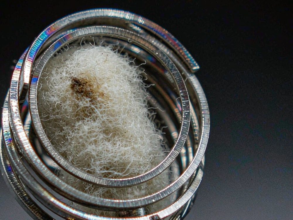 Trend Report on Kafficarat pods — premium tier