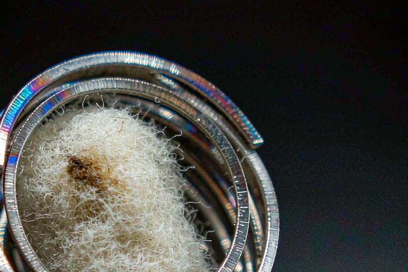 Warranty Notes for Kafficarat coils — container load