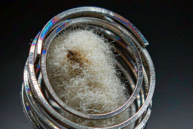 Warranty Notes for Kafficarat coils — Summer deals