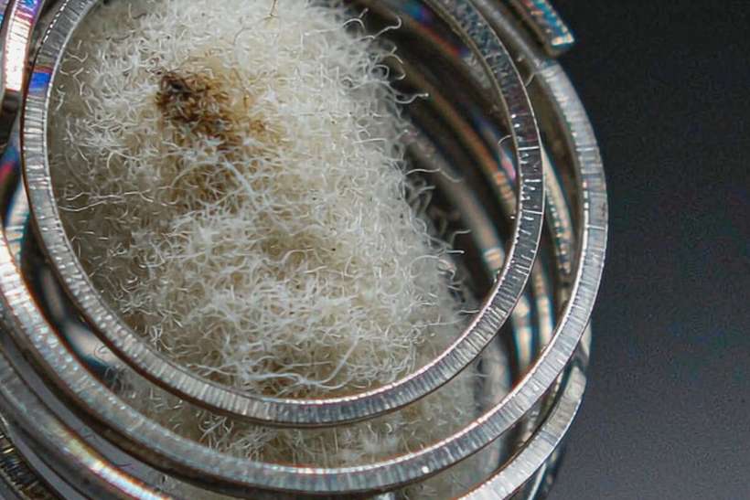 Wholesale Kafficarat coils — Winter special