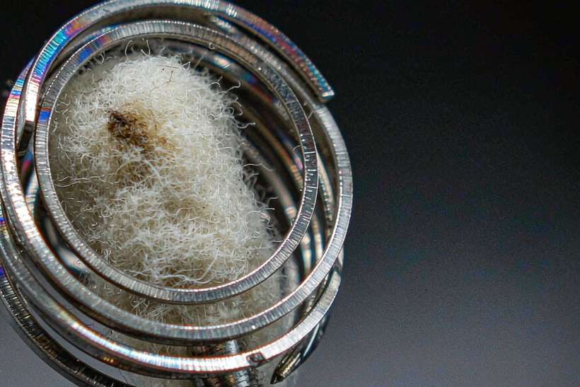 Wholesale Kafficarat products — OEM available